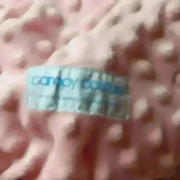 BIG BUNDLE!!!! 0-6m bundle cute stuff all pink - Picture 15 of 16